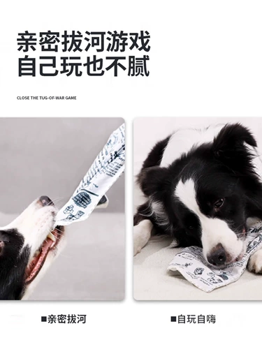 Домашние собаки озвучивали игрушечные звуковые газеты моделирование и измельчение зубов, чтобы облегчить душные артефакты бикхиро золотые волосы