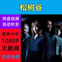 Pine Valley 2018 Australian TV Series Complete Episodes Shipped from Online Disk Materials Not Promotional Posters