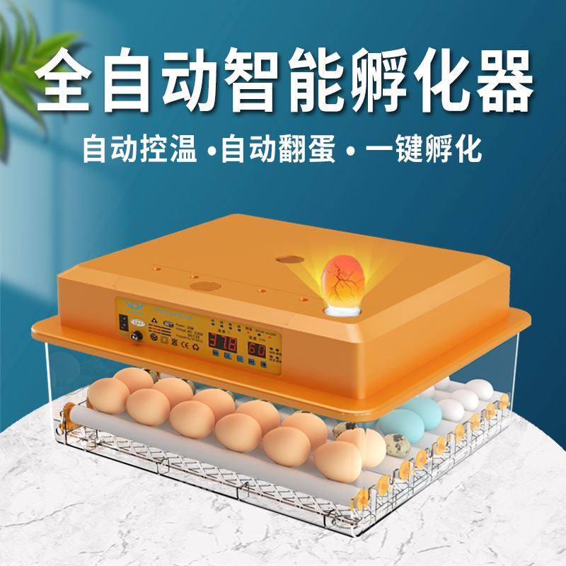 New Vida Incubator Small Home Automatic Incubator Case Chicken and Duck Quil Incubator