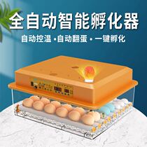 New Vida Incubator Mini Home Type Fully Automatic Intelligent Incubation Case Chicken Duck Goose Pigeon Quail Hatching Egg
