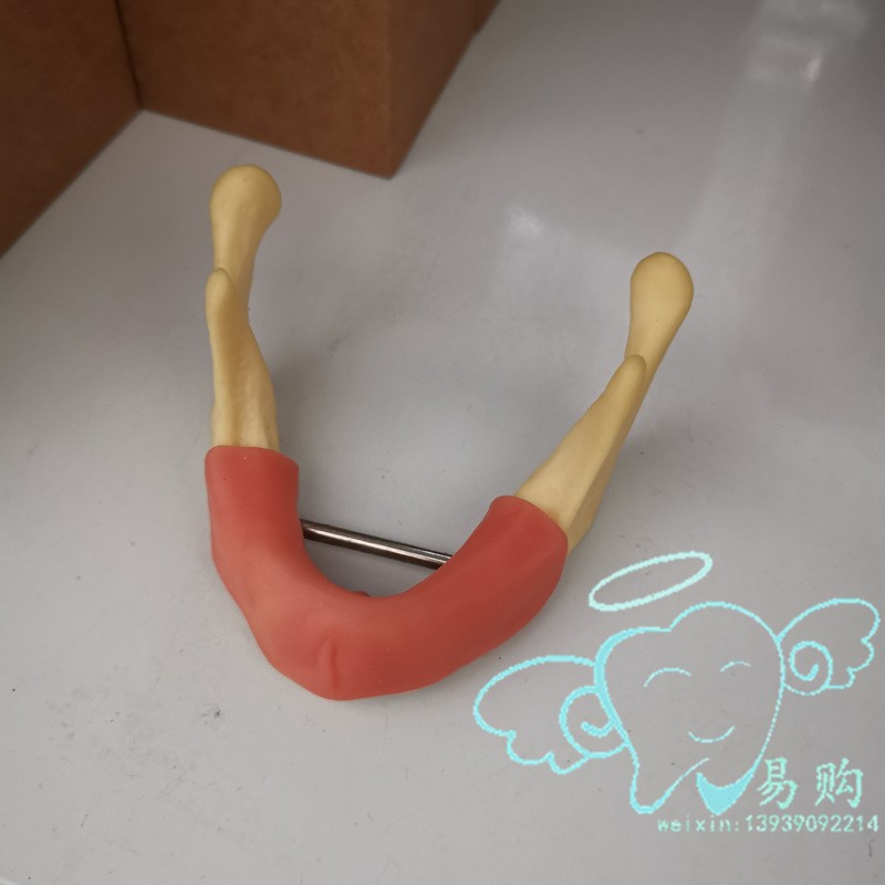 口腔下颌骨模型 牙科种植牙练习 缺牙修复种植训练 带软牙龈 包邮