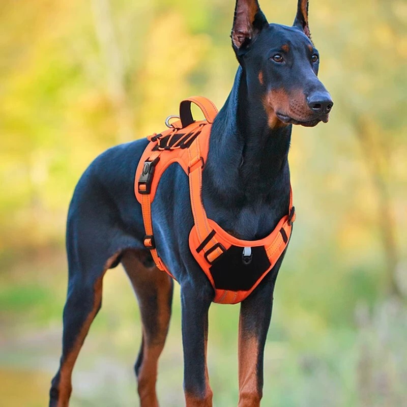 German Pet Anti-Explosion Harness Leash for Large Dogs, Reflective, Breathable, Adjustable, Tactical Training Vest Style