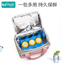 Milk-carrying equipment refrigerated work mommy bag milk-carrying bag milk storage breast milk fresh-keeping ice bag multi-functional mother and baby bag portable