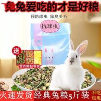 -20 Rabbit grain 5 catty young adult rabbit 10 Pets Rabbit food Dutch pig guinea pig feed grain big bag Timothy Moses -