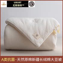 High-end A Class Mother and Child Quilt Winter Quilt full cotton Soybean Fiber Thickening Quilt by Core Spring and Autumn Quilt Universal Silk Cotton Quilt by Four Seasons