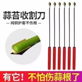 Инструмент для резки чеснока, инструмент для резки чеснока, инструмент для резки чеснока, инструмент для резки чеснока, инструмент для резки чеснока, инструмент для резки чеснока, инструмент для резки чеснока, инструмент для резки чеснока, инструмент для резки чеснока, инструмент для резки чеснока, инструмент для резки чеснока, инструмент для резки чеснока