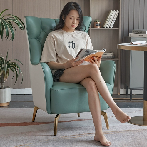 Современный и минималистичный диван для отдыха, в американском стиле, тигр