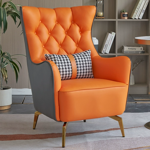 Современный и минималистичный диван для отдыха, в американском стиле, тигр