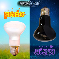 Ceramic heating light temperature-controlled pet constant hamster honey bag Bird Cage U Tortoise Land Reptile Parrot Take Luding Chicken