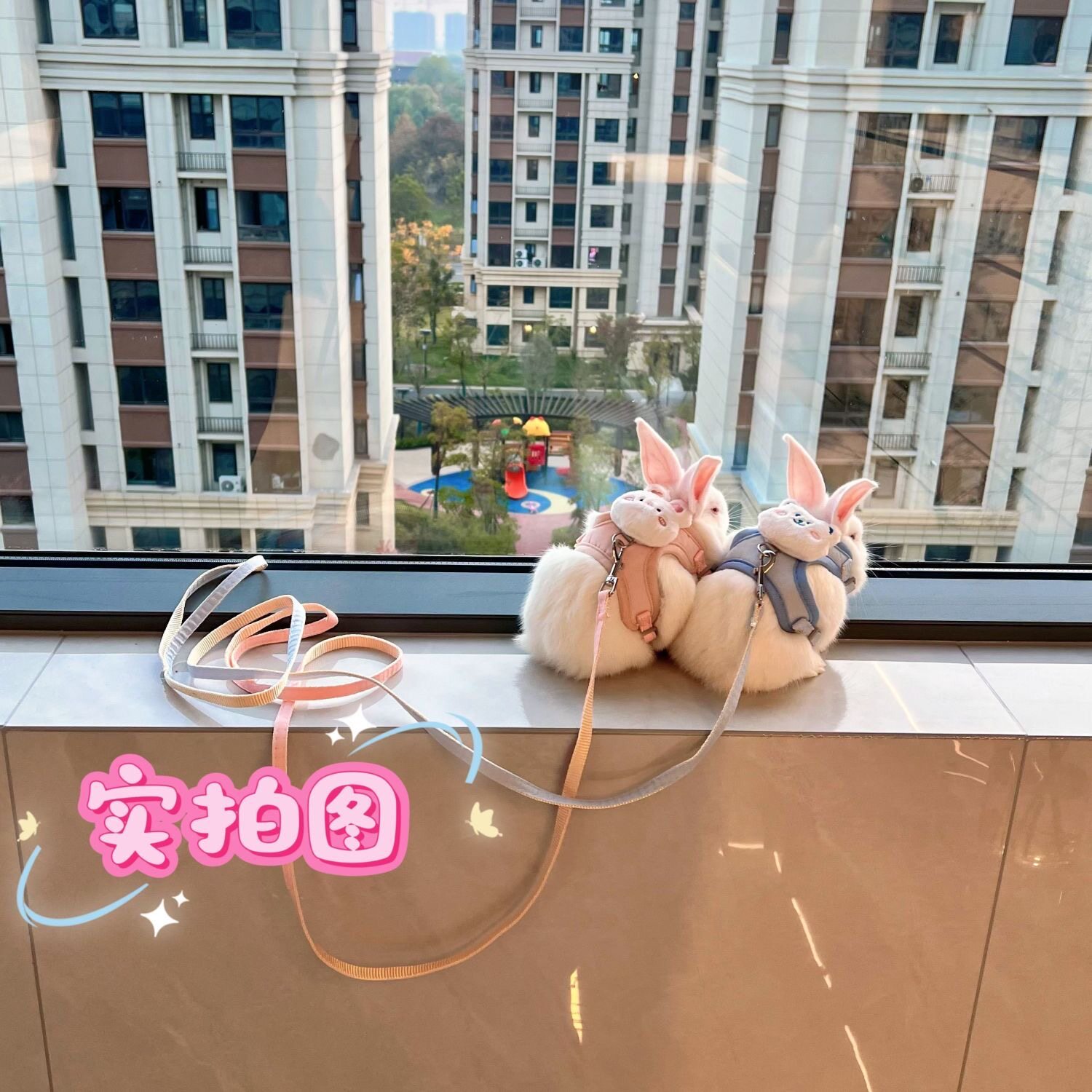 遛兔绳小兔子外出牵引绳兔绳防挣脱可调节溜兔绳，让你的兔兔也能成为街头时尚宠儿！-兔绳-淘宝好物网