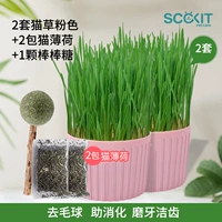 2 коробки порошка из кошачьей травы + 2 упаковки кошачьей мяты + 1 леденец из кошачьей мяты