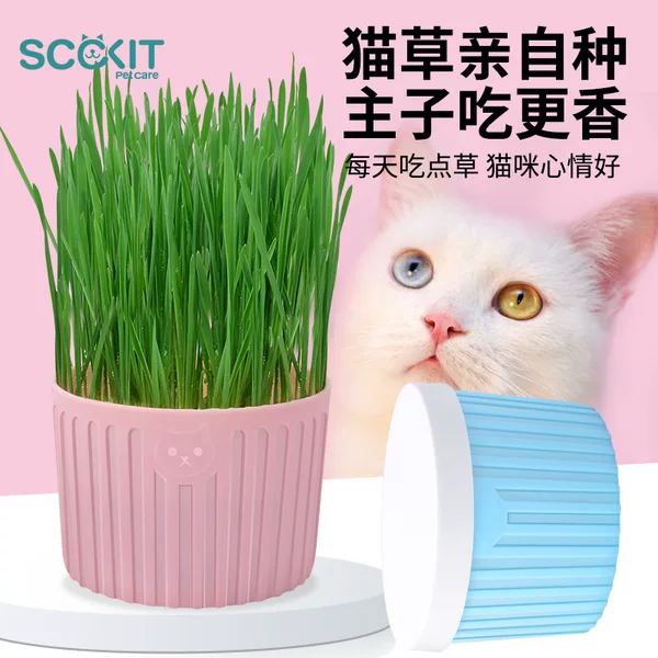 Товары от SCCKIT宠物