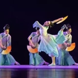 Пьяный весенний ветерок танцевальная одежда фанат китайский классический танце