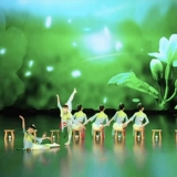 Белый чай чай, исполняющий детские рыбалки, танцевальная одежда Yuyang Классическая детективная детектив Цинсхуи, ароматные прудеры -табуреты