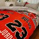 Carrot Original Style Nordic Minimalist Bedding Set 1.5m Dormitory Quilt Cover and Bed Sheet Three-Piece Set