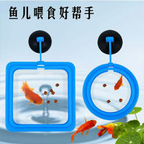 Buoyancy small fish feeder feeding circle aquarium fish tank fish food fish food fish feed feeding circle fish feeding circle