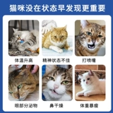 Тестовая тестовая бумага для носовой бумаги FHV кошка герпес Вирус Объяснение антиген