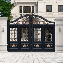 Aluminum art garden entrance courtyard door aluminum alloy courtyard door rural self-built house outdoor electric villa double door