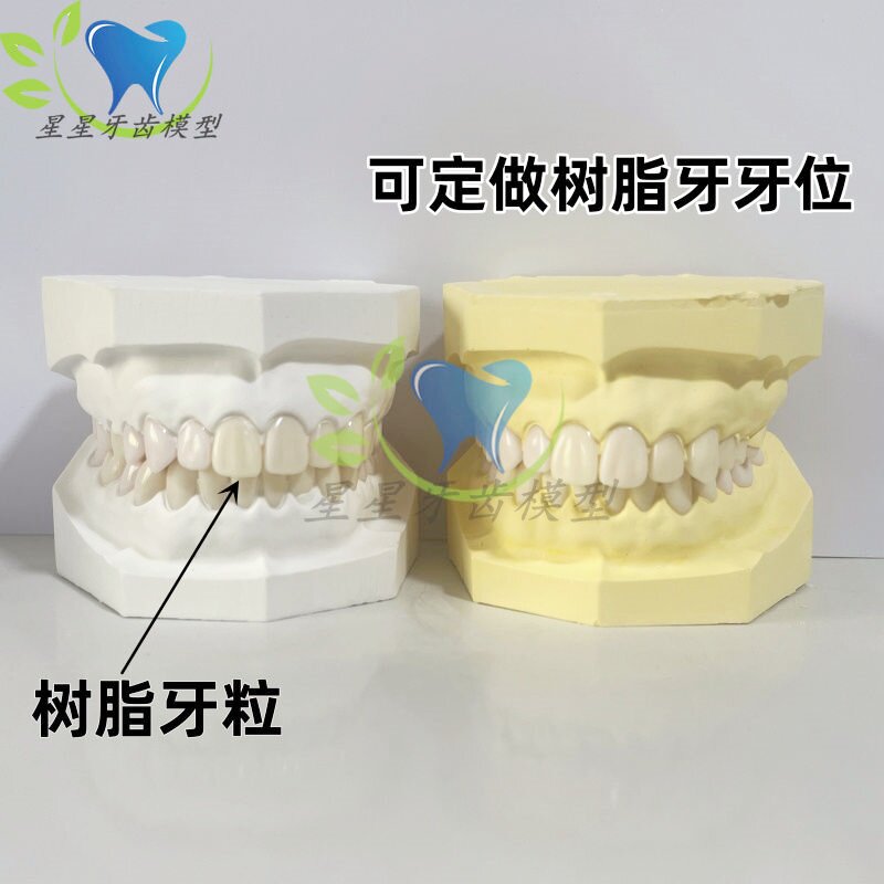 牙科口腔模型28颗备牙练习模型石膏牙模口腔教学练习有牙无牙