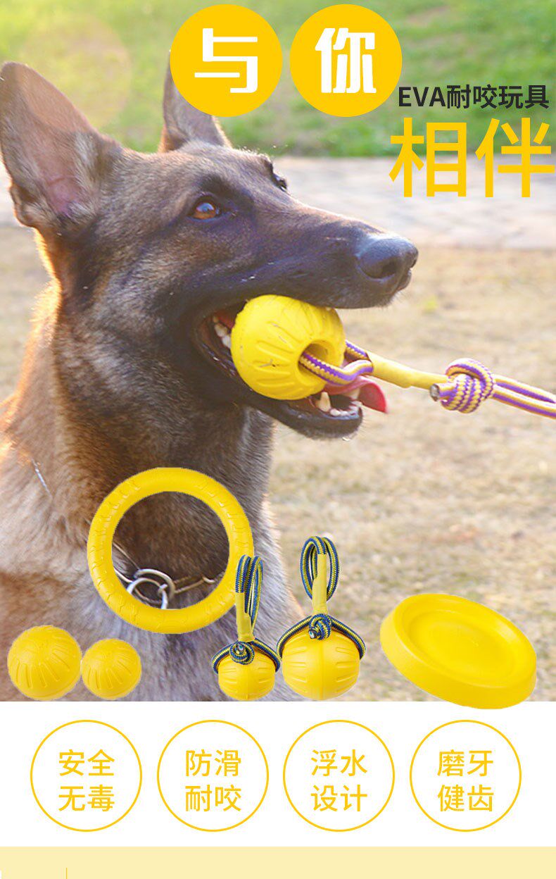 Игрушка для животных 狗狗玩具球耐咬磨牙中大型犬马犬德牧拉布拉多犬训狗用品解闷神器 OTHER