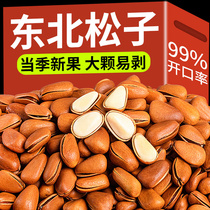 2024 New Arrival Northeastern Pine Nuts Extra Large 500g Bag Hand-Peeled Red Pine Nuts Pregnant Women Nut Snacks Wholesale