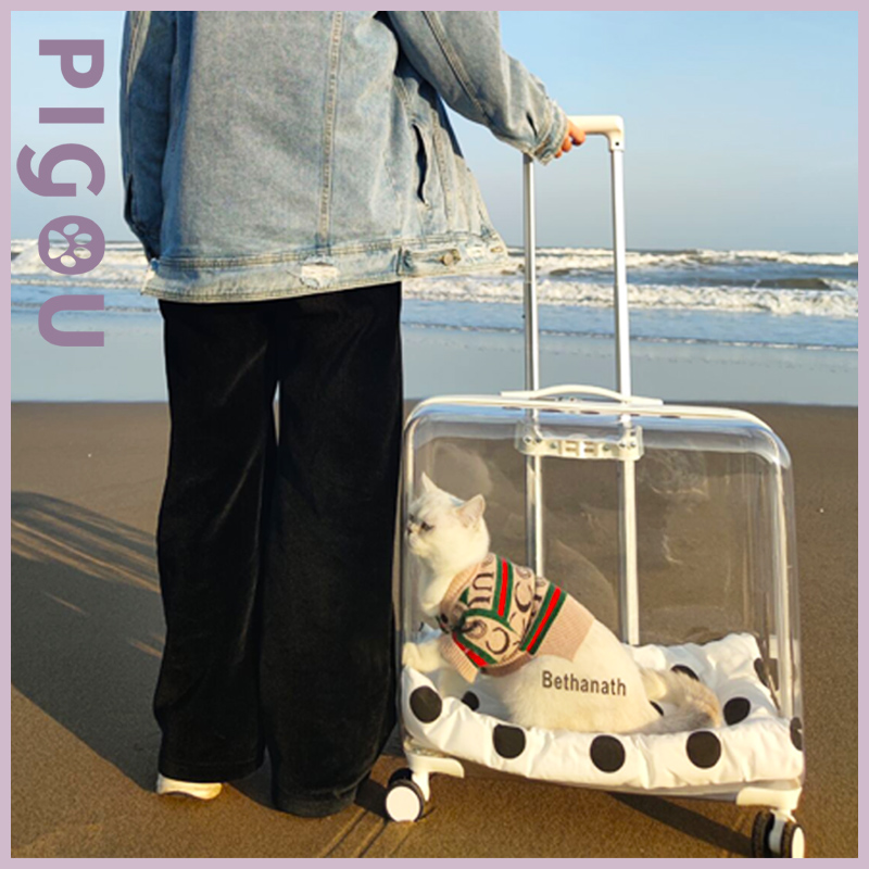 Cat Packs Large Capacity Pets Pull-Lever Boxes Kitty Suitcases Dogs Go Out Portable Bath Deities High Face Value Winter