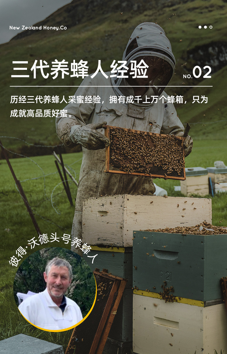 新西兰进口 New Zealand Honey Co. 纯天然活性UMF10+麦卢卡蜂蜜 250g罐装 双重优惠折后￥96.25包邮包税