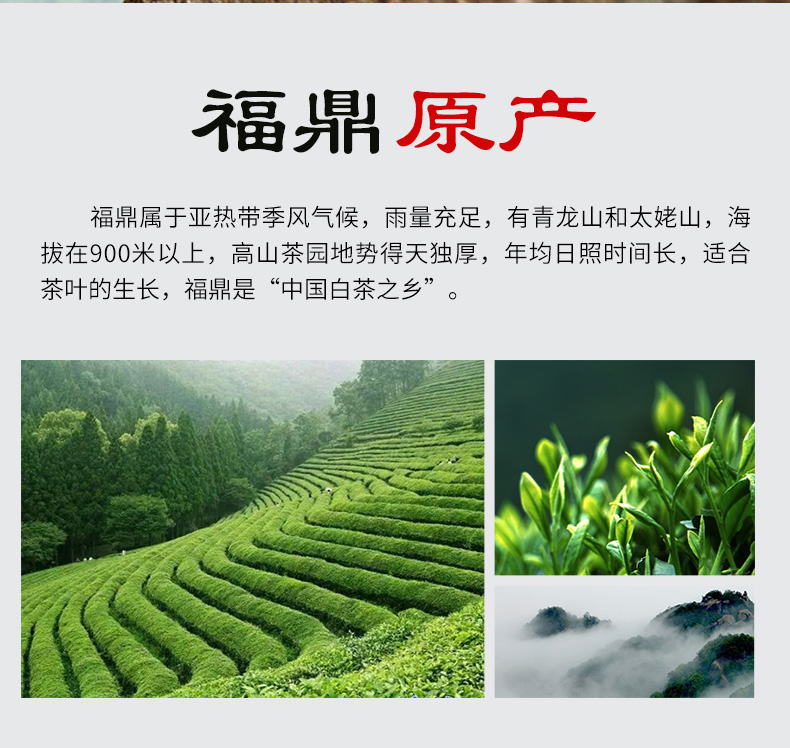 半春茗 福鼎白茶小方片贡眉 30g 5.8元包邮 值值值-买手聚集的地方