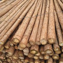 Fir logs logs piles river flood control piling wood greening trunk support trees piles cylinders and beams factory