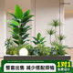 Simulated Plant Landscaping for Balcony, Indoor Staircase Decoration with Artificial Flower Trees, Bionic Green Plant Landscaping Combination