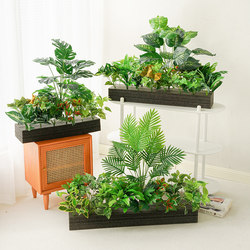 Simulated Green Plants for Decoration, Small Flower Boxes, Fake Potted Plants, Indoor High-End Bionic Landscaping, High-End Living Room Flowers