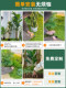 Simulated green plant landscaping combination, high-end large indoor decoration ornaments, advanced bionic plant landscape floor-standing potted plants