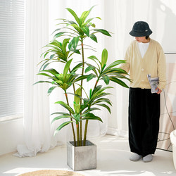 Simulated Green Plants, High-End Light Luxury Brazilian Wood, Large-Scale Simulated Plants, Indoor Living Room Floor-Standing Potted Plants, Decorative Ornaments