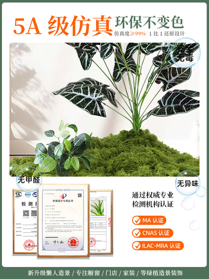 Simulated Green Plants for Landscaping, High-End Light Luxury Decorative Ornaments, Plants, Trees, Indoor Tropical Plants, Floor-Standing Landscape, Fake Potted Plants