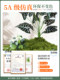 Simulated Green Plants for Landscaping, High-End Light Luxury Decorative Ornaments, Plants, Trees, Indoor Tropical Plants, Floor-Standing Landscape, Fake Potted Plants