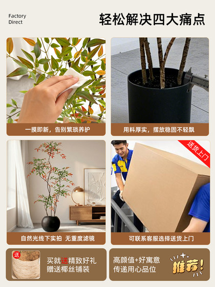 Simulated Green Plant Colorful Nanjing Bamboo Indoor Decorative Tree Living Room High-End Realistic Floor-Standing Potted Plant Artificial Fake Plant
