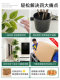 Simulated Green Plant, Happiness Tree, Decorative Ornament Next to the Tv Cabinet, High-End, Light Luxury, Realistic Bionic Plant, Fake Tree Potted Plant
