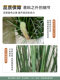 Indoor Window Display High-End Artificial Rabbit Tail Grass, Foxtail Grass, Caterpillar Grass Plant, Atmospheric Decoration, Bionic Fake Plant