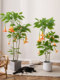 Artificial Green Plant Mandala Luxury Sofa Side Floor-Standing Ornament Large Indoor Living Room Decorative Potted Fake Plant
