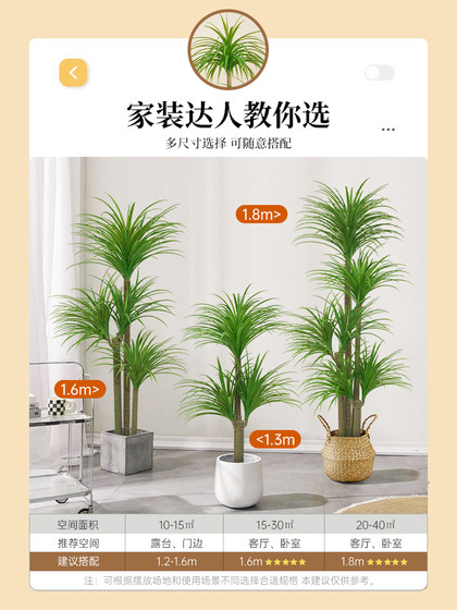 Simulated Green Plant Dracaena Indoor Living Room Tv Cabinet High-End Light Luxury Plant Floor-Standing Potted Plant Artificial Decoration