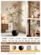 Simulated Green Plant Colorful Nanjing Bamboo Indoor Decorative Tree Living Room High-End Realistic Floor-Standing Potted Plant Artificial Fake Plant