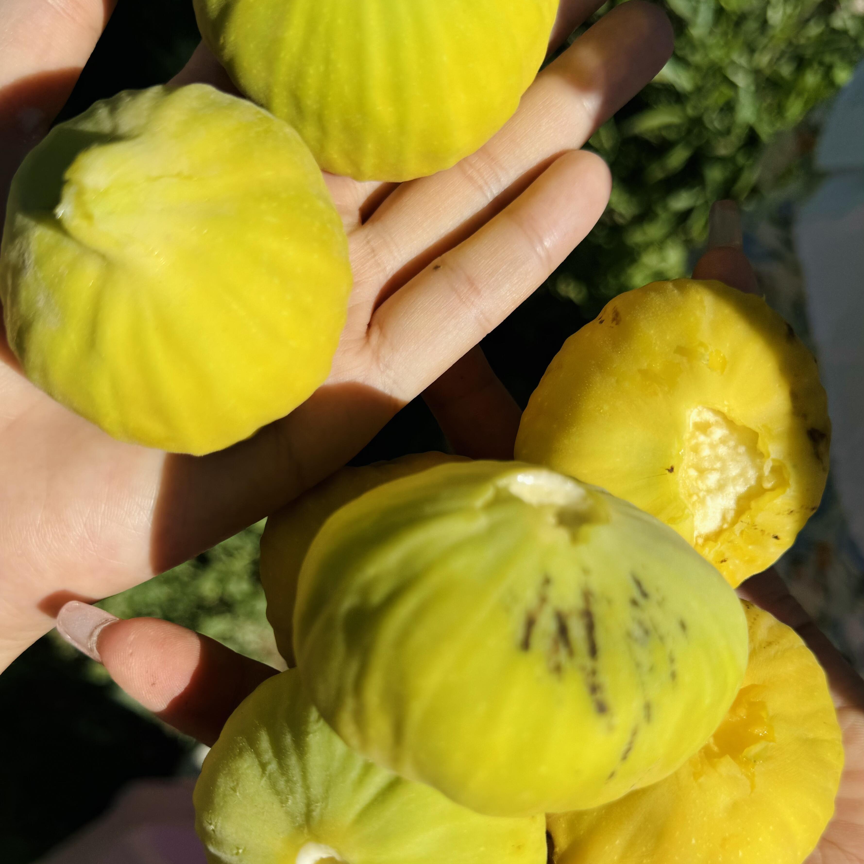 大连3天2晚深度游：6人小团畅享海滨魅力