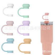 Cross Border Silicone Straw Hat Stanley Simple straw lid 10mm Applicable straw cup accessories Removable
