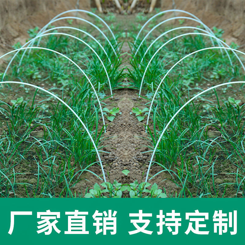 Growing canteen arch svegetable shed stent insulation shed frame sFeed vaulted multi-meat fiberglass bar