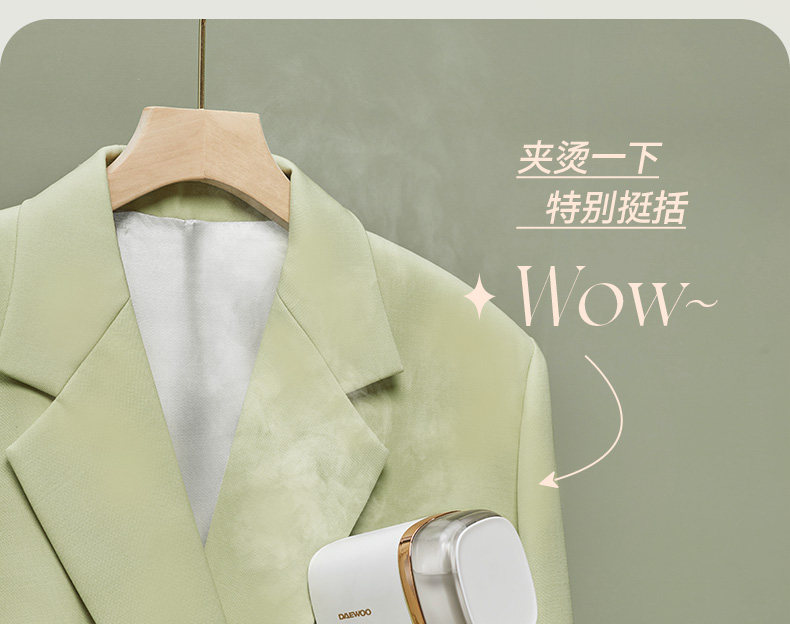Пароочиститель 大宇手持挂烫机熨烫机家用小型烫斗便携蒸汽宿舍电熨斗hi038