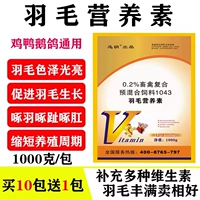 Питательные вещества с перьями зверя, голуби из куриной утки и домашняя птица.