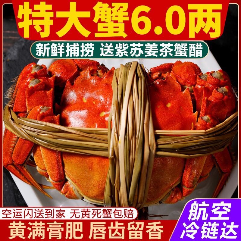 蟹满旺
