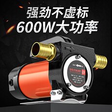 Пряжа 竟固正反转油泵12v24v2v20v直流加油泵吸油机电动抽油泵柴油自吸