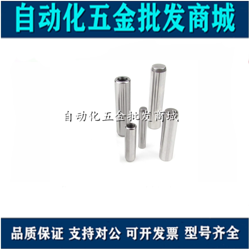 Internal thread cylindrical pin positive tolerance straight lever positioning pin MSTM4-10 15 20 20 30 30 35