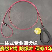 Dog chain with strand strap strap steel wire out cat Brador walking dog rope P explosion-proof P hasky rope